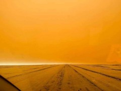 Төөрсөн, сураггүй болсон 9 иргэнийг эсэн мэнд олж, цас шаварт суусан иргэдийн аюулгүй байдлыг ханг..