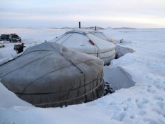 Цаг агаарын нөхцөл байдлаас шалтгаалан ихэнх бүс нутагт өвөлжилт хүндэрсэн өвөл боллоо