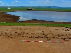 Он гарснаас хойш соёлын өвийн эсрэг гэмт хэрэг өмнөх оноос 1.4 дахин өсжээ