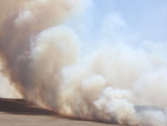 Түймэр гарвал Онцгой байдлын алба, орон нутгийн Засаг захиргаанд яаралтай мэдээлэх шаардлагатай 