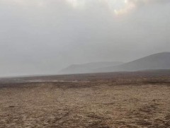 Сүхбаатар аймагт гарсан 3 хээрийн түймэрт 331 га талбай өртжээ 