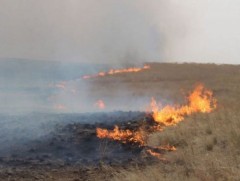 Ой, хээрийн түймрийн эрсдэл өндөр байгаа тул сонор, сэрэмжтэй байхыг зөвлөж байна