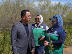 Өмнөговь аймаг нэг сая мод тарьж ургуулаад байна