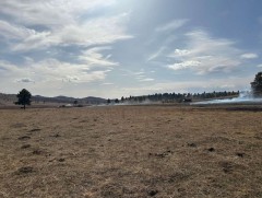 Ой, хээрийн гал түймрийн дуудлага 3.8 хувиар өсжээ 