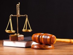 ДЭЭД ШҮҮХ: 1000 гаруй хүн хүсэлт ирүүлснээс 714 иргэний лавлагааг олгоод байна