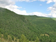 Ой, хээрийн түймрээс урьдчилан сэргийлэхийг анхааруулж байна