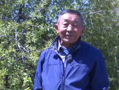 Жижиг талбайд ч мод тарьж, ашиг шимийг нь хүртэх боломжтой 