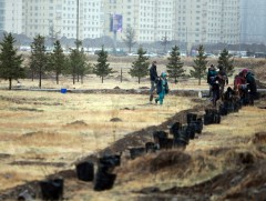 БОАЖЯ: Ирэх сарын 11-18-нд нийтээр мод тарина