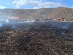 Шар өвс шатаасан 2 иргэнд хариуцлага тооцов