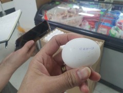 Импортын хүнсний өндөгний худалдаалалт, хадгалалт, тээвэрлэлтэд хяналт шалгалт хийж байна