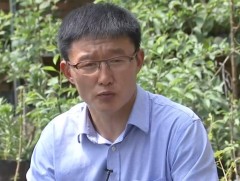 Т.Батсүх усан үзмийн 21 төрлийн модны үрслэгээг хийж байна