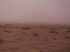 Ихэнх нутгаар бороо орж, салхи, шуургатай байна 