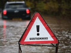 Голууд үертэй байна 