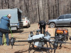 Богдхан уулын ойн сангийн 3000 га талбайд хөнөөлт шавжтай тэмцэнэ 