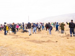 Тавдугаар сарын 11-нд бүх нийтээр мод тарина 