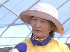 С.Тунгалаг: Мод тарих, ургуулах нь хүүхэд өсгөхтэй ижил анхаарал халамж шаарддаг