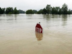 Зарим гол үертэй байна 