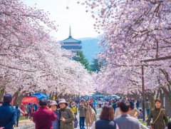 БНСУ-ын ХЭХЯ-наас Гадаад ажилчдыг дэмжих 9 төвийг шинээр байгууллаа