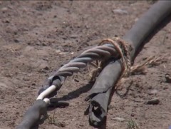 Шалбарсан, гэмтэлтэй цахилгааны утас ашиглахгүй байхыг зөвлөж байна 