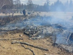 Шар өвсний гал түймрийн дуудлага нэмэгдэж байна