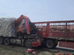 Хоёр шалаанзны голд хавчуулагдсан иргэний амь насыг аварчээ 