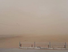 Ойрын өдрүүдэд ихэнх нутгаар салхитай, зарим газраар бороо, нойтон цас орно