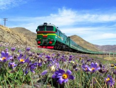 Маргаашаас Улаанбаатар-Замын-Үүд-Эрээн чиглэлд зорчих галт тэрэгний хуваарь