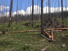 Ойн цэвэрлэгээг 4809 м3 талбайд хийнэ