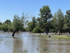 Маргааш Улаанбаатарт дуу цахилгаантай аадар бороо орно