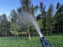 Ойн хөнөөлт шавжтай тэмцэх ажил Архангай аймагт үргэлжилж байна