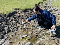 Булгийн эхийг хашиж, хамгаална