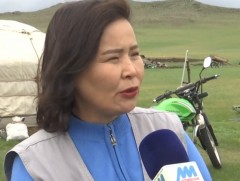 Зудын дараах сөрөг үр дагаврыг бууруулахад НҮБ-ын Хүнс, хөдөө аж ахуйн байгууллага анхаарч ажиллаж..