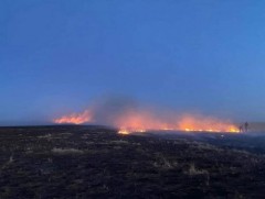 Ой, хээрийн гал түймрийн дуудлага, мэдээлэл өнгөрсөн оны мөн үеийнхээс 7.2 хувиар өссөн байна