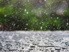 Энэ сарын 28, 29-нд төв болон зүүн аймгуудын ихэнх нутгаар бороо үргэлжлэн орно 