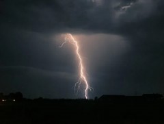 Аянга буусны улмаас 61 мал хорогдов