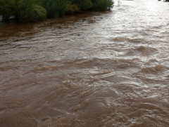 Туул гол Лүн сум орчимд үерийн аюултай түвшинг 30 см давсан байна