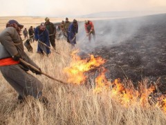 Ой, хээрийн гал түймэр унтраах ажиллагаанд нийт 2390 хүн ажиллажээ