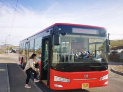 Наадмын өдрүүдэд иргэдэд үнэ төлбөргүй үйлчлэх нийтийн тээврийн чиглэлүүд