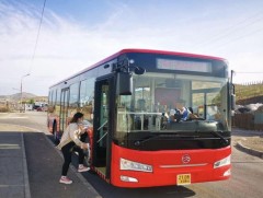 Наадмаар нийтийн тээврийн 7 чиглэлд үнэ төлбөргүй үйлчилнэ