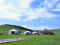 Хоол тэжээлийн дутагдалтай хүүхдүүдийг “Хөдөлмөр” зусланд эмчилж байна