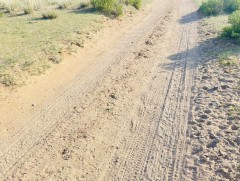 Улаанбаатар-Замын-Үүд чиглэлд түр замаар зорчуулахаар боллоо