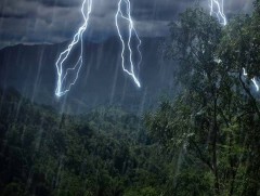 Болзошгүй эрсдэлээс урьдчилан сэргийлж, аюулгүй байдлаа хангаарай