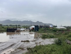 Үерийн усанд автсан 387 удаагийн дуудлагаар үүрэг гүйцэтгэж, 1018 иргэний аюулгүй байдлыг хангажээ 