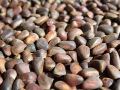 Самар түүх хугацааг наашлуулах боломжтой эсэхийг судлах үүрэг өглөө