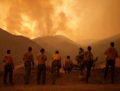 Калифорнид гарсан ой, хээрийн түймэр унтраах ажиллагаанд дэмжлэг үзүүлэхээр Үндэсний гвардаас нэмэ..