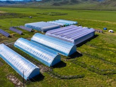 Ухаалаг хүлэмжийн аж ахуйтай танилцлаа 