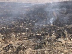 Ой, хээрийн түймрээс урьдчилан сэргийлье