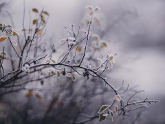СЭРЭМЖЛҮҮЛЭГ: Нойтон цас орж, ихэнх нутгаар сэрүүсэхийг анхааруулж байна