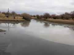 Туул голын усанд хийсэн шинжилгээний хариу гарлаа