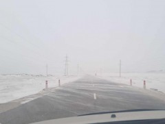 Хол, ойрын замд гарахдаа тээврийн хэрэгслийн найдвартай байдлыг хангахыг зөвлөлөө 